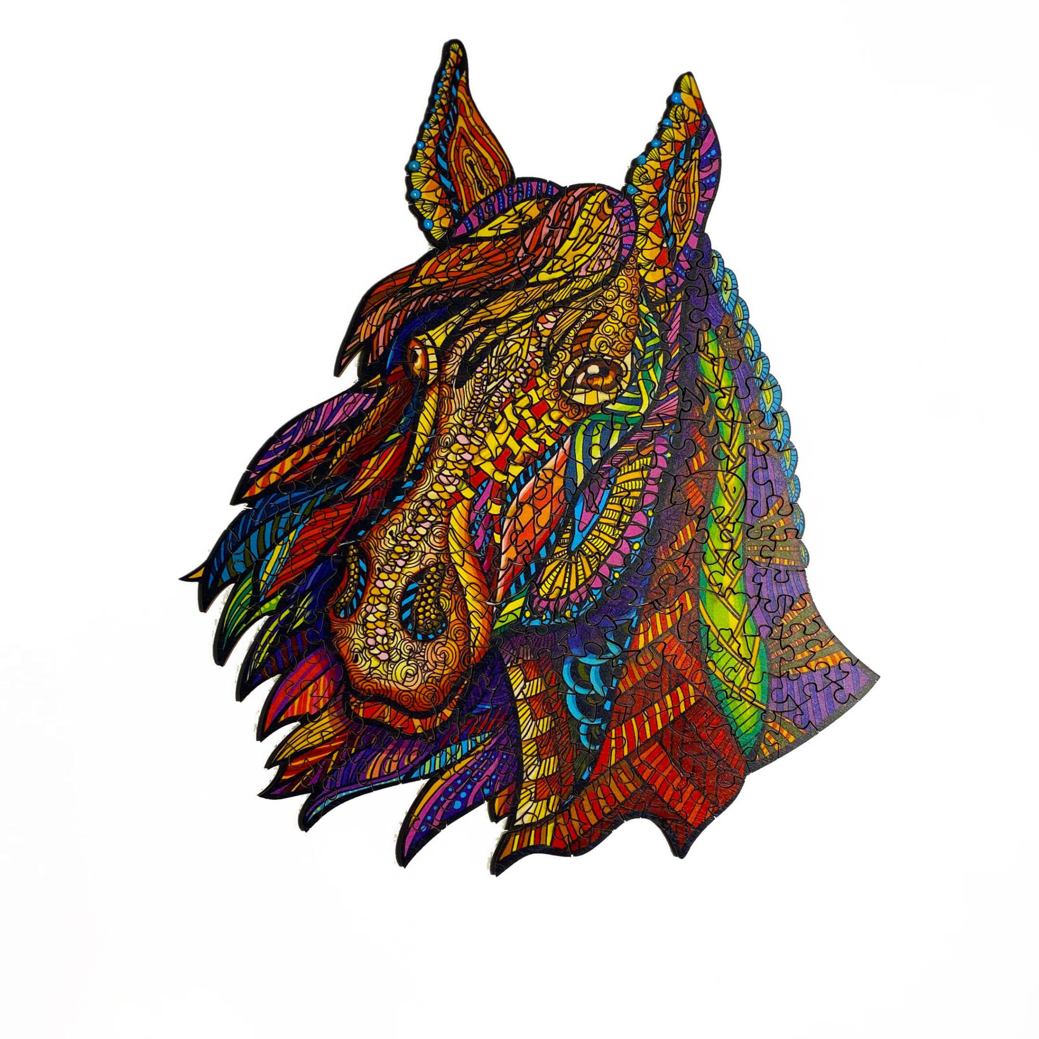 Cválající kůň (Galloping Horse)