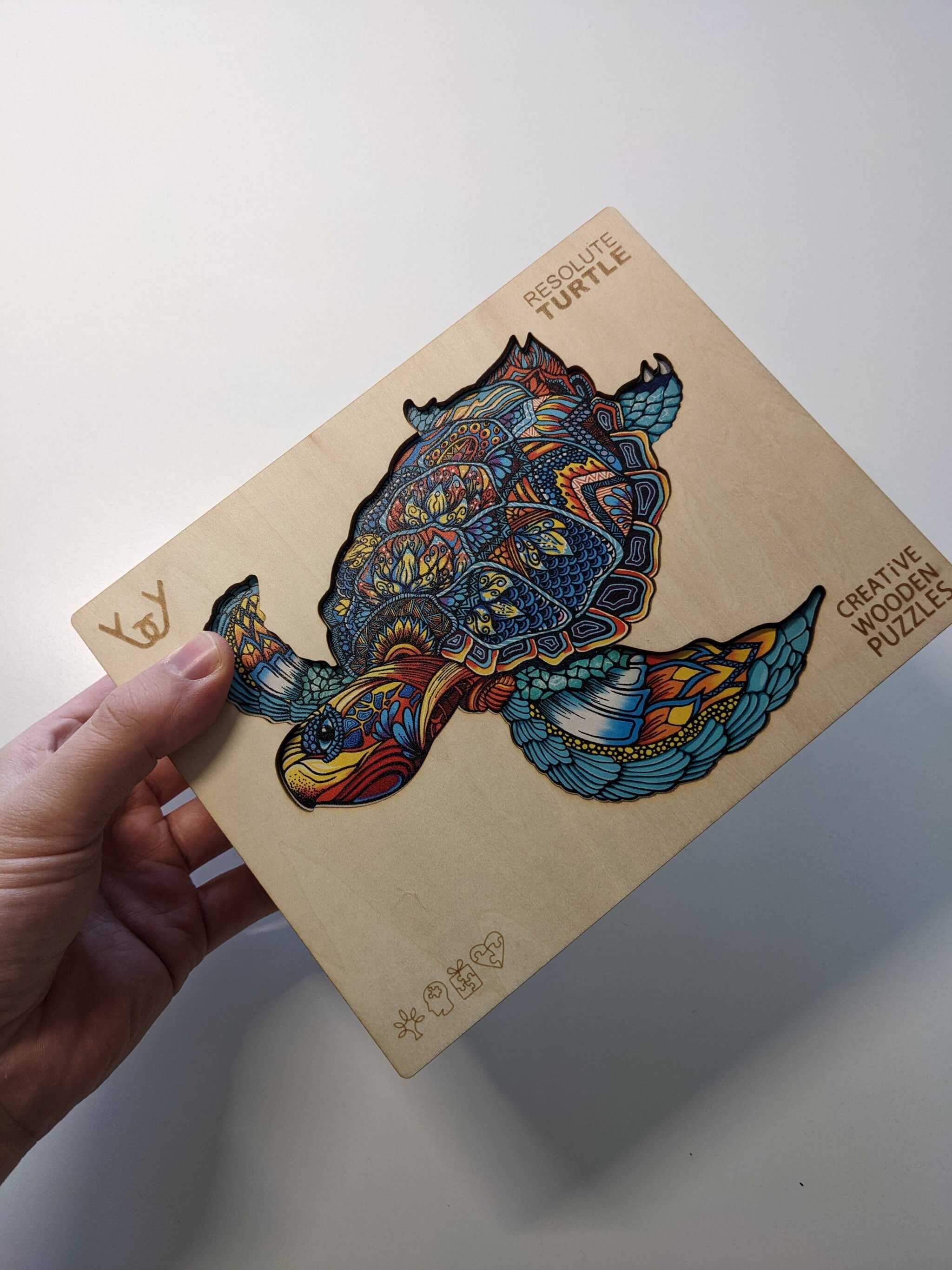Odvážná želva (Resolute Turtle)