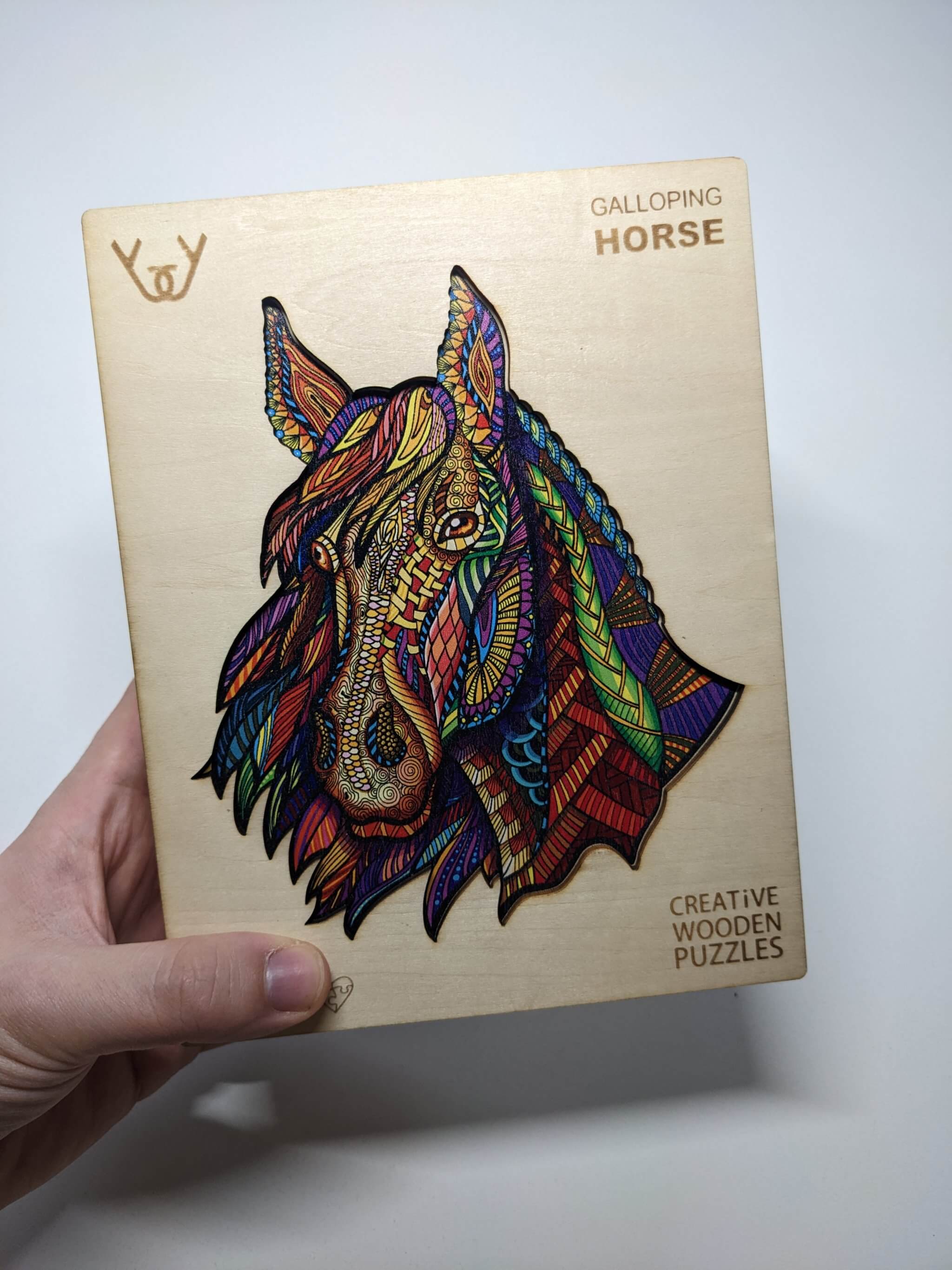 Cválající kůň (Galloping Horse)